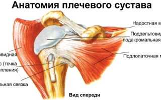 Как лечить тендинит плечевого сустава?