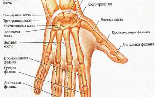 Вывих пальца руки: первая помощь и лечение в домашних условиях