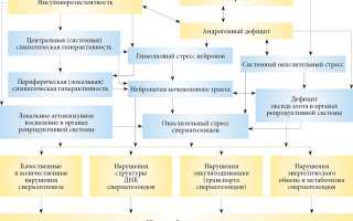 Инсулинорезистентность и бесплодие