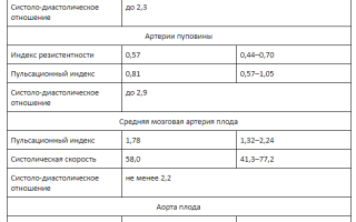 37 неделя беременности на УЗИ