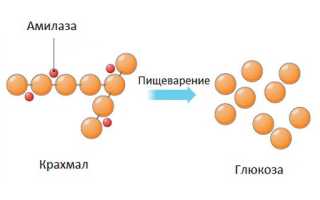 Амилаза мочи