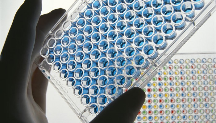 1-elisa-test-plate-tek-image
