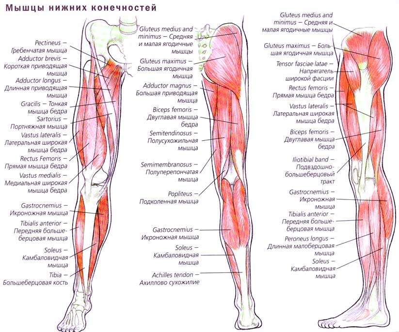 atlas_fitnesa18