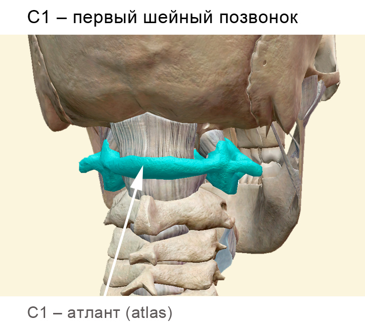 C1_Atlant_Rus