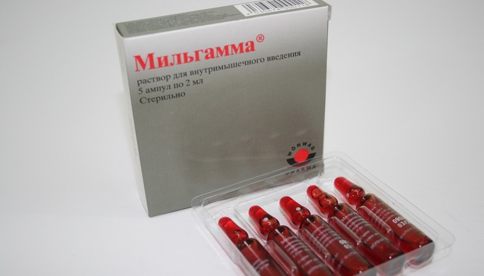 Milgamma-pri-gryizhe-pozvonochnika