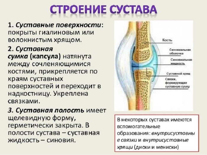 Sustav