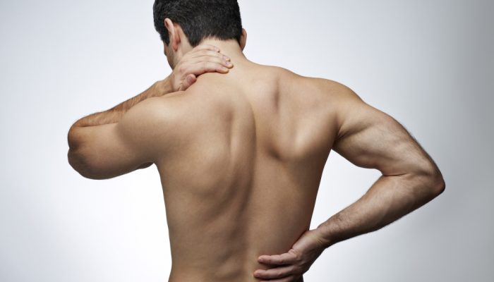 bol-v-spine1