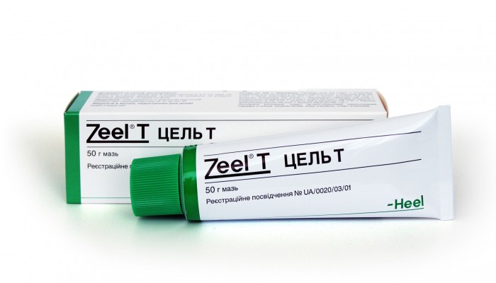cel-t-1