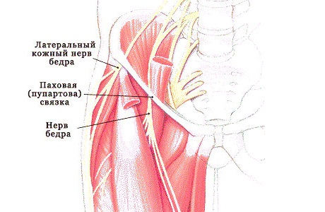 chto-takoe-bolezn-rota-berngardta
