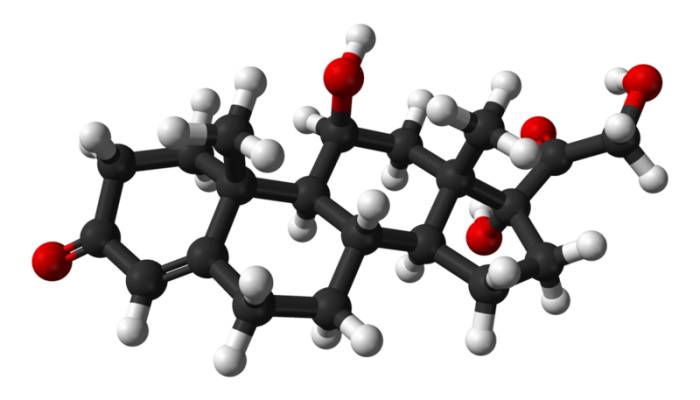 cortisol