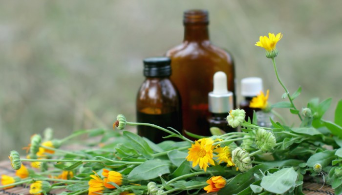 concept of calendula flower essential oil and tincture.