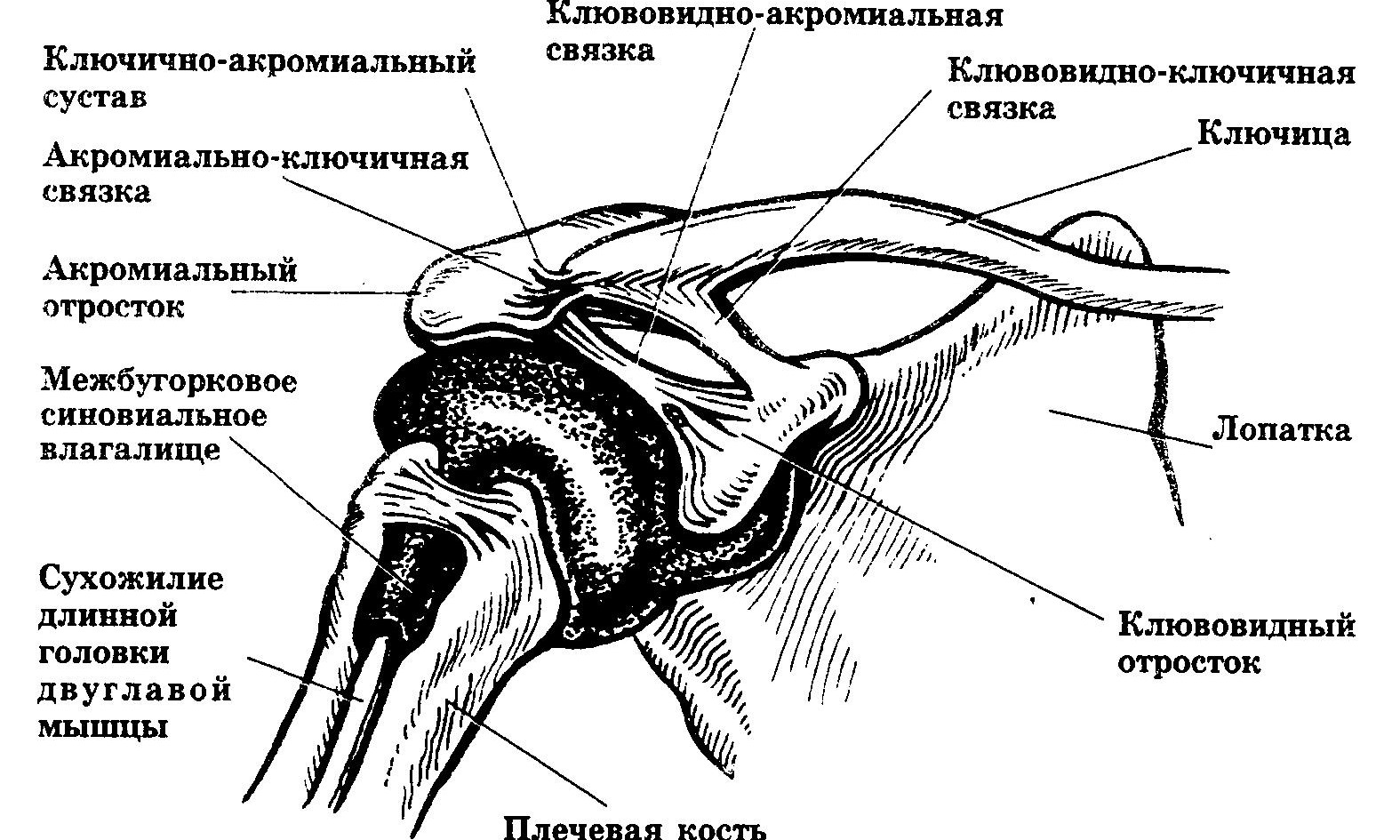 kluchica-e1438584695626