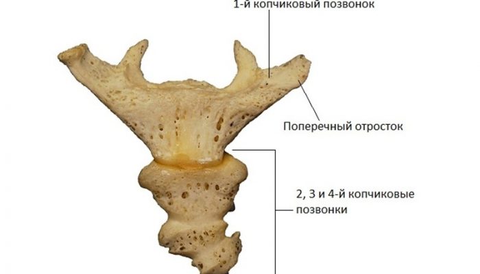 kopcik