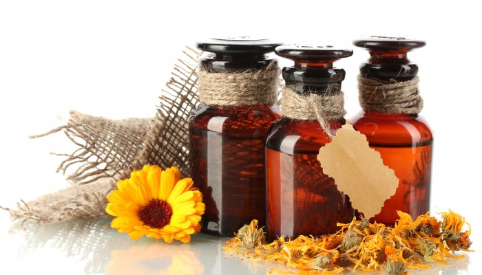medicines-calendula
