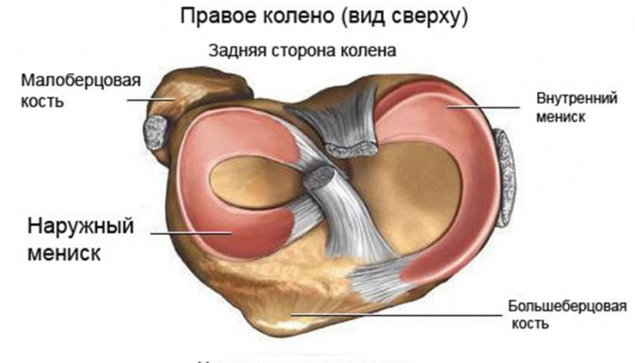 risunok1_6