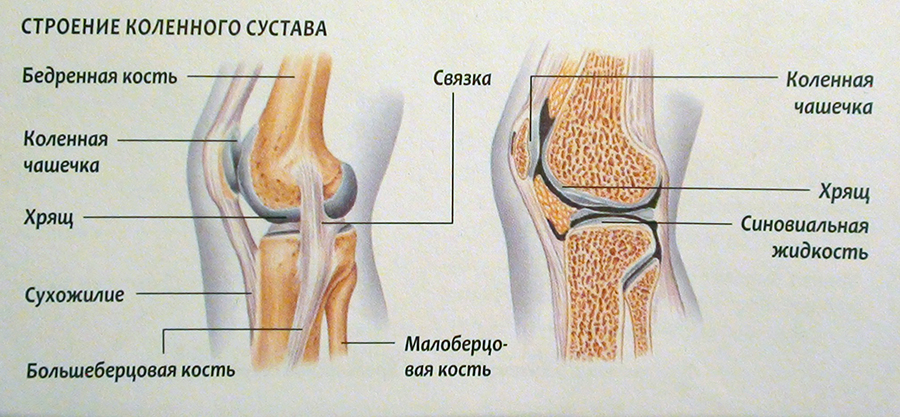 6465464